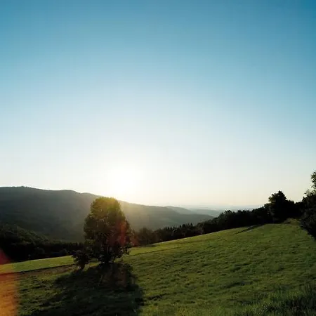 Landgut Stetter 3* Schöllnach